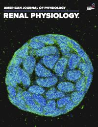 ajp cell physiology|ajp renal physiology impact factor.